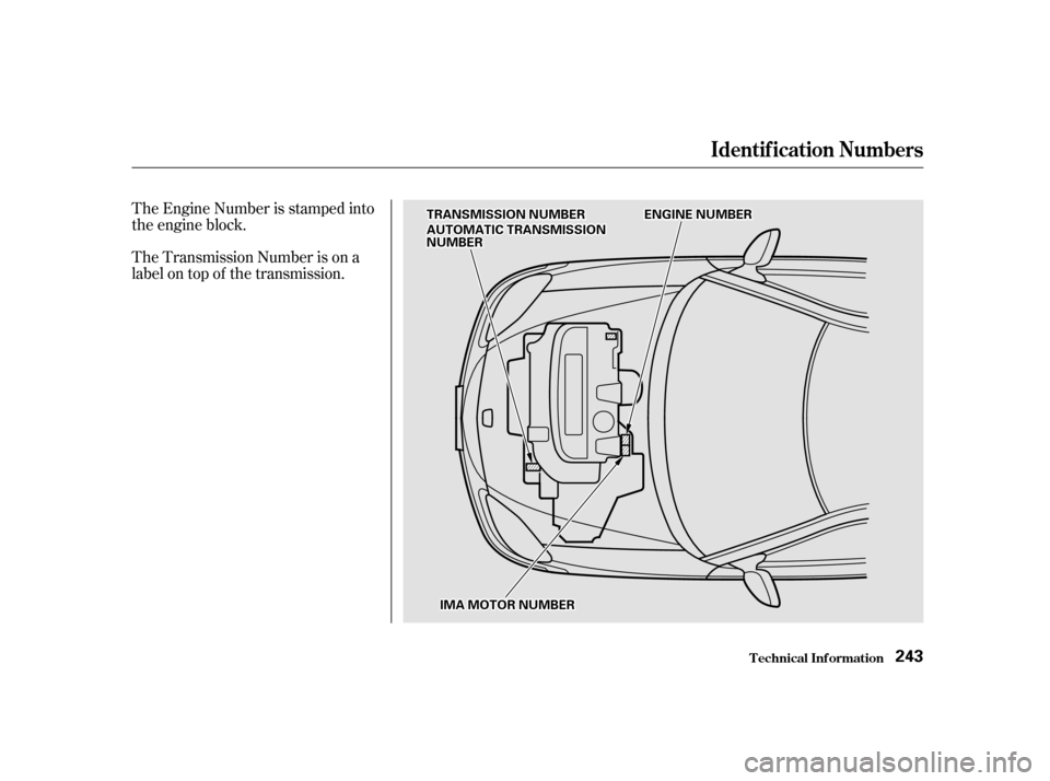 HONDA INSIGHT 2001 1.G Owners Manual The Engine Number is stamped into 
the engine block. 
The Transmission Number is on a 
label on top of the transmission.
Identif ication Numbers
T echnical Inf ormation243
TTRRAANNSSMMIISSSSIIOONNNNUU