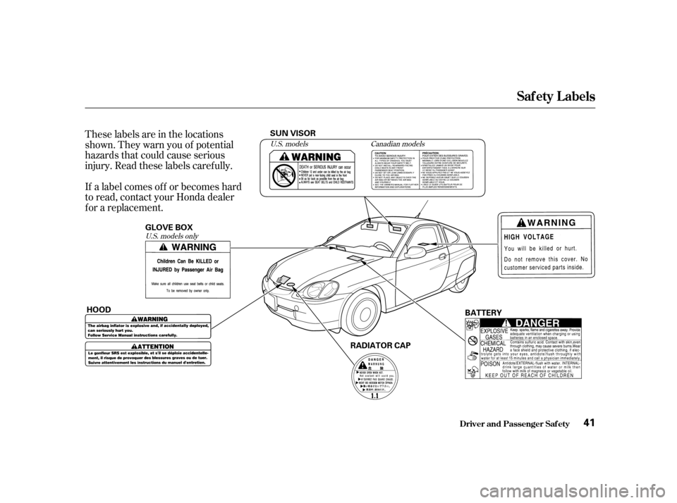 HONDA INSIGHT 2001 1.G Owners Manual These labels are in the locations 
shown. They warn you of potential
hazards that could cause serious
injury. Read these labels caref ully. 
If a label comes of f or becomes hard 
to read, contact you