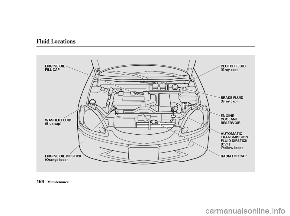 HONDA INSIGHT 2002 1.G Owners Manual Fluid Locations
Maint enance164
E
EN
NG GIINNE E
C
CO OO OLLAA N
NT T
R
RE ES
SE ER
RV V O
OI IRR
B
BR
RAA K
KEE F
FLLUUI IDD
(
( G
Gr raay y c
caap p )
)
E
E
N
NG GIINNE E O
OIILL
F
FI ILLL L C
CAA P