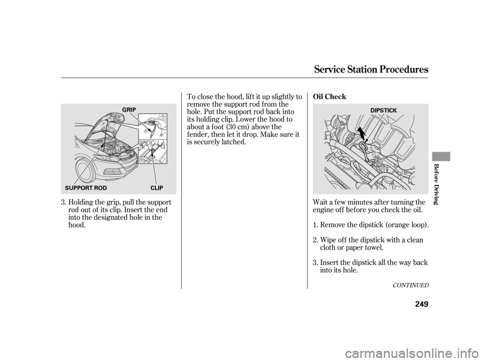 HONDA INSIGHT 2003 1.G Owners Manual Insert the dipstick all the way back
into its hole. Wipe of f the dipstick with a clean
cloth or paper towel. Remove the dipstick (orange loop).
Wait a f ew minutes af ter turning the
engine of f bef 