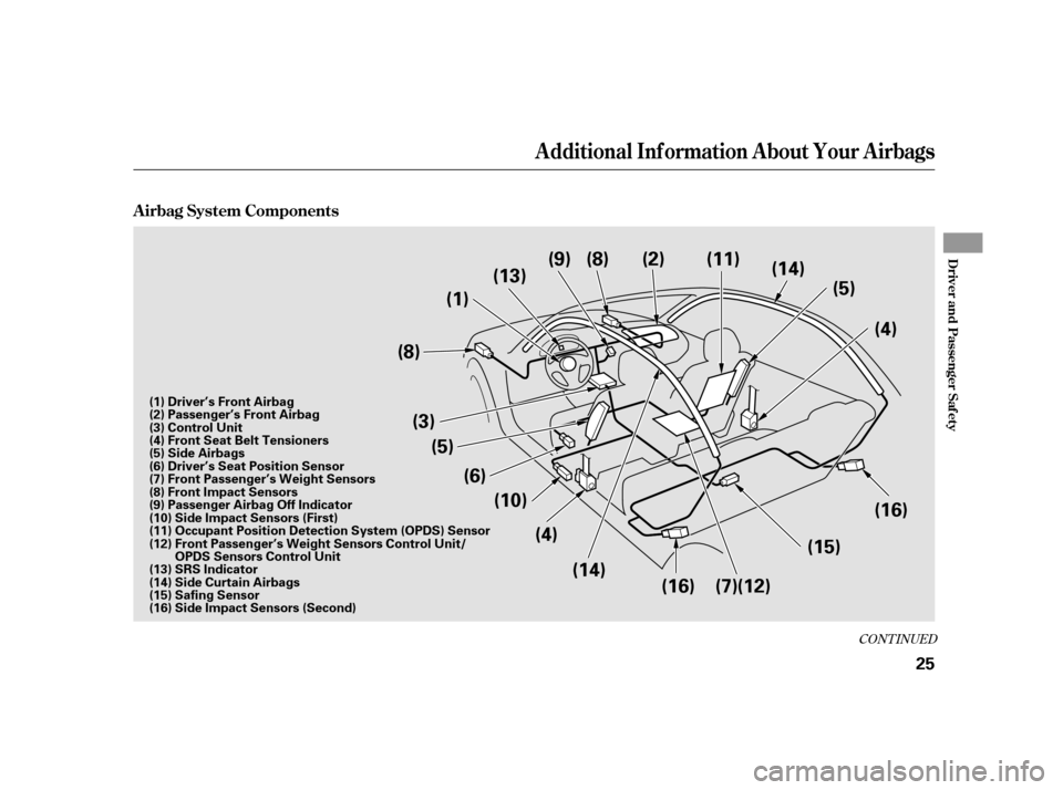 HONDA INSIGHT 2003 1.G Owners Manual CONT INUED
A irbag System Components
Additional Inf ormation About Your Airbags
Driver and Passenger Saf ety
25
(1)
(3) (5)
(4)
(5)
(6)(10)
(13)
(9) (8)
(14)
(2)
(16) (4)
(15)
(16)
(14)
(8)
(11)
(7)(1