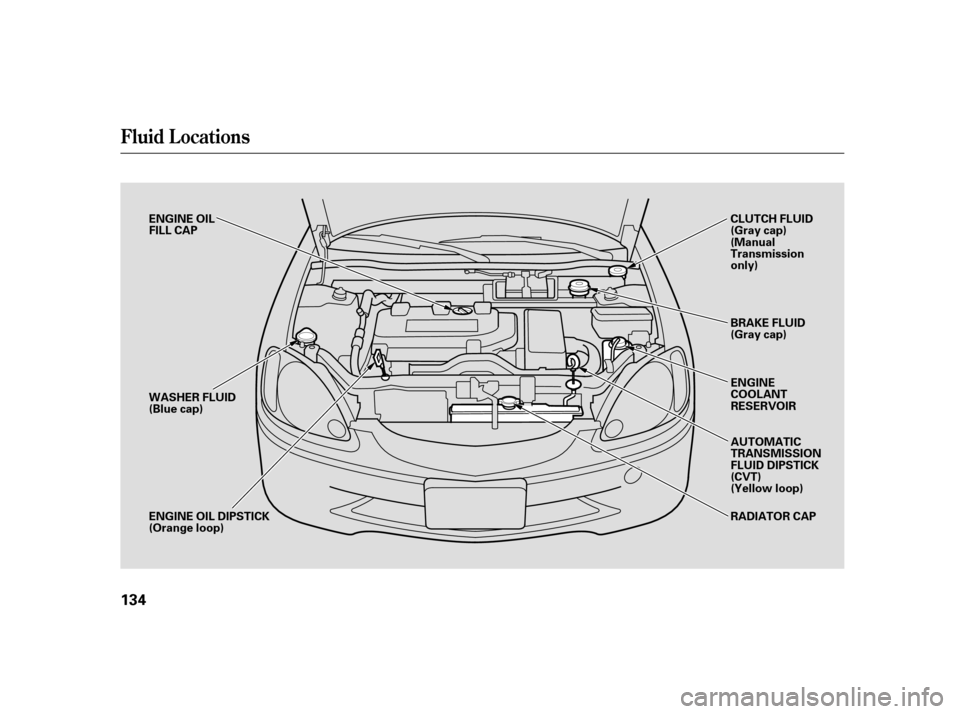 HONDA INSIGHT 2005 1.G Owners Manual Fluid Locations
134
ENGINE OIL
FILL CAP
WASHER FLUID
(Blue cap)
ENGINE OIL DIPSTICK
(Orange loop)BRAKE FLUID
(Gray cap)
ENGINE
COOLANT
RESERVOIR
AUTOMATIC
TRANSMISSION
FLUID DIPSTICK
(CVT)
(Yellow loo