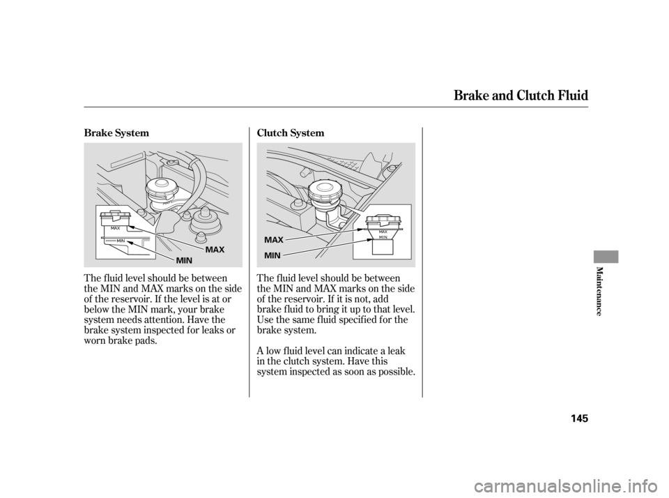 HONDA INSIGHT 2005 1.G Owners Manual The f luid level should be between
theMINandMAXmarksontheside
of the reservoir. If it is not, add
brake f luid to bring it up to that level.
Use the same fluid specified for the
brake system.
The f lu