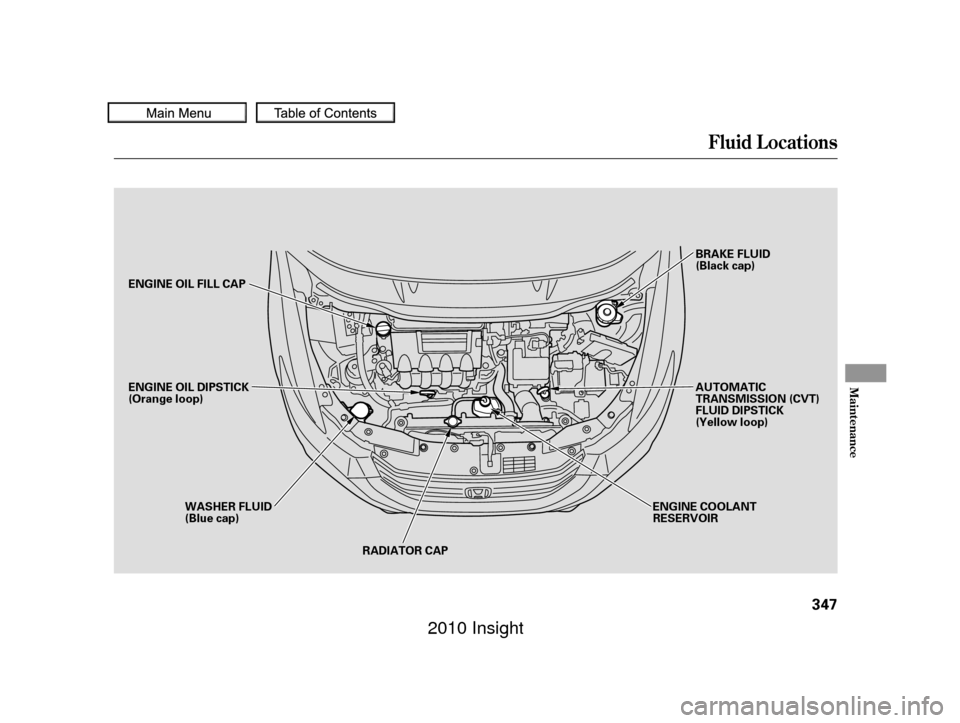 HONDA INSIGHT 2010 2.G Owners Manual Fluid Locations
Maint enance
347
RADIATOR CAP
ENGINE OIL DIPSTICK
(Orange loop)
WASHER FLUID
(Blue cap) AUTOMATIC
TRANSMISSION (CVT)
FLUID DIPSTICK
(Yellow loop)
ENGINE COOLANT
RESERVOIR BRAKE FLUID
(