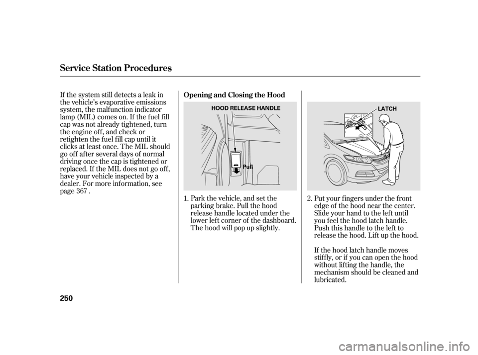 HONDA INSIGHT 2011 2.G Owners Manual Park the vehicle, and set the 
parking brake. Pull the hood
release handle located under the
lower lef t corner of the dashboard.
The hood will pop up slightly.
If the system still detects a leak in
t