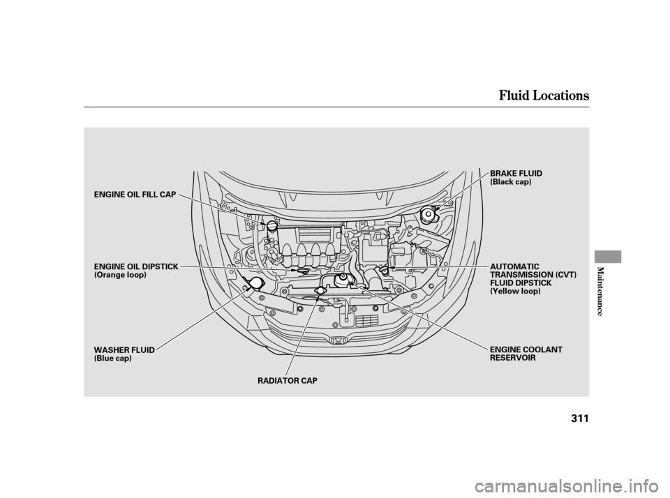 HONDA INSIGHT 2011 2.G Owners Manual Fluid Locations
Maint enance
311
RADIATOR CAP
ENGINE OIL DIPSTICK 
(Orange loop)
AUTOMATIC
TRANSMISSION (CVT)
FLUID DIPSTICK
(Yellow loop)
BRAKE FLUID
(Black cap)
ENGINE OIL FILL CAP
ENGINE COOLANT
RE