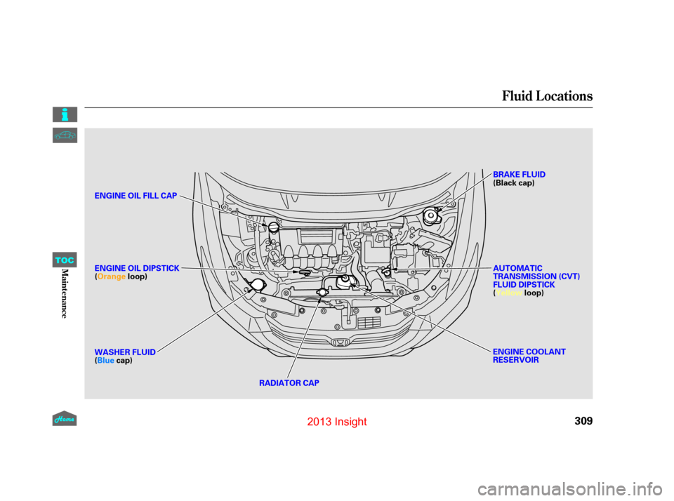 HONDA INSIGHT 2013 2.G Owners Manual Fluid Locations
309
RADIATOR CAP
ENGINE OIL DIPSTICK
(Orange
loop) AUTOMATIC
TRANSMISSION (CVT)
FLUID DIPSTICK
(Yellow
loop)
BRAKE FLUID
(Black cap)
ENGINE OIL FILL CAP
ENGINE COOLANT
RESERVOIR
WASHER