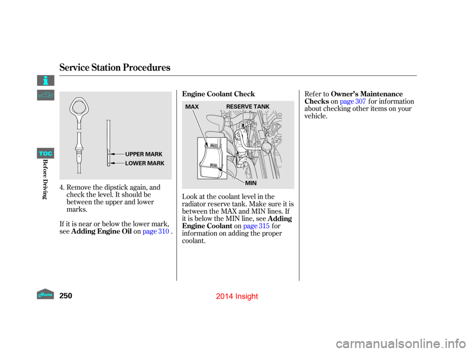 HONDA INSIGHT 2014 2.G Owners Manual Refer toonpage f or inf ormation
about checking other items on your
vehicle.
Look at the coolant level in the
radiator reserve tank. Make sure it is
between the MAX and MIN lines. If
it is below the M