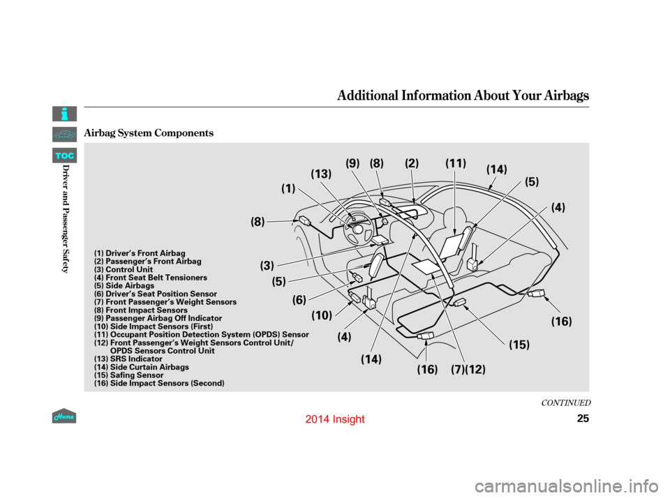 HONDA INSIGHT 2014 2.G Owners Manual CONT INUED
A irbag System Components
Additional Inf ormation About Your Airbags
25
(1)
(3) (5)
(4)
(5)
(6)(10)
(13)
(9) (8)
(14)
(2)
(16) (4)
(15)
(16)
(14)
(8)
(11)
(7)(12)
(1) Driver’s Front Airba HONDA INSIGHT 2014 2.G Owners Manual CONT INUED
A irbag System Components
Additional Inf ormation About Your Airbags
25
(1)
(3) (5)
(4)
(5)
(6)(10)
(13)
(9) (8)
(14)
(2)
(16) (4)
(15)
(16)
(14)
(8)
(11)
(7)(12)
(1) Driver’s Front Airba