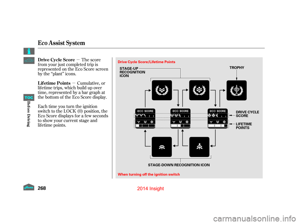Honda Insight 14 2 G Owners Manual 411 Pages Page 280 µ µ The Score F Rom Your Just Completed T