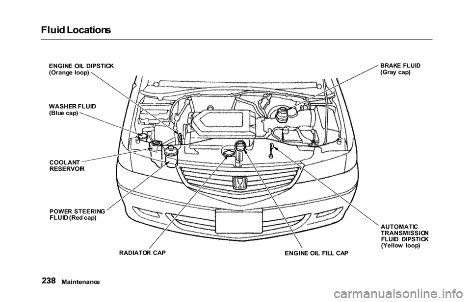 HONDA ODYSSEY 2000 RA6-RA9 / 2.G Service Manual Fluid Location s
Maintenanc e
ENGINE  OI L DIPSTIC K
(Orang e  loop )
WASHE R FLUI D
(Blu e cap )
COOLAN T
RESERVOI R
POWER  STEERIN GFLUID (Re d cap )
RADIATO R  CA P
ENGINE OI L  FIL L CA P AUTOMATI