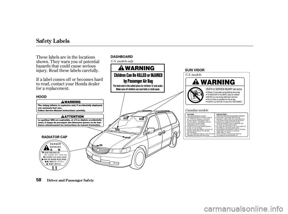 HONDA ODYSSEY 2001 RA6-RA9 / 2.G Workshop Manual These labels are in the locations 
shown. They warn you of potential
hazards that could cause serious
injury. Read these labels caref ully. 
If a label comes of f or becomes hard 
to read, contact you