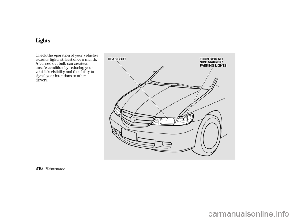 HONDA ODYSSEY 2002 RA6-RA9 / 2.G Owners Manual Check the operation of your vehicle’s
exterior lights at least once a month.
A burned out bulb can create an
unsaf e condition by reducing your
vehicle’s visibility and the ability to
signal your 