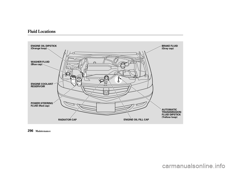 HONDA ODYSSEY 2003 RB1-RB2 / 3.G User Guide Fluid Locations
Maint enance296
ENGINE OIL DIPSTICK
(Orange loop)
WASHER FLUID
(Blue cap)
POWER STEERING
FLUID (Red cap)RADIATOR CAP ENGINE OIL FILL CAPAUTOMATIC
TRANSMISSION
FLUID DIPSTICK
(Yellow lo