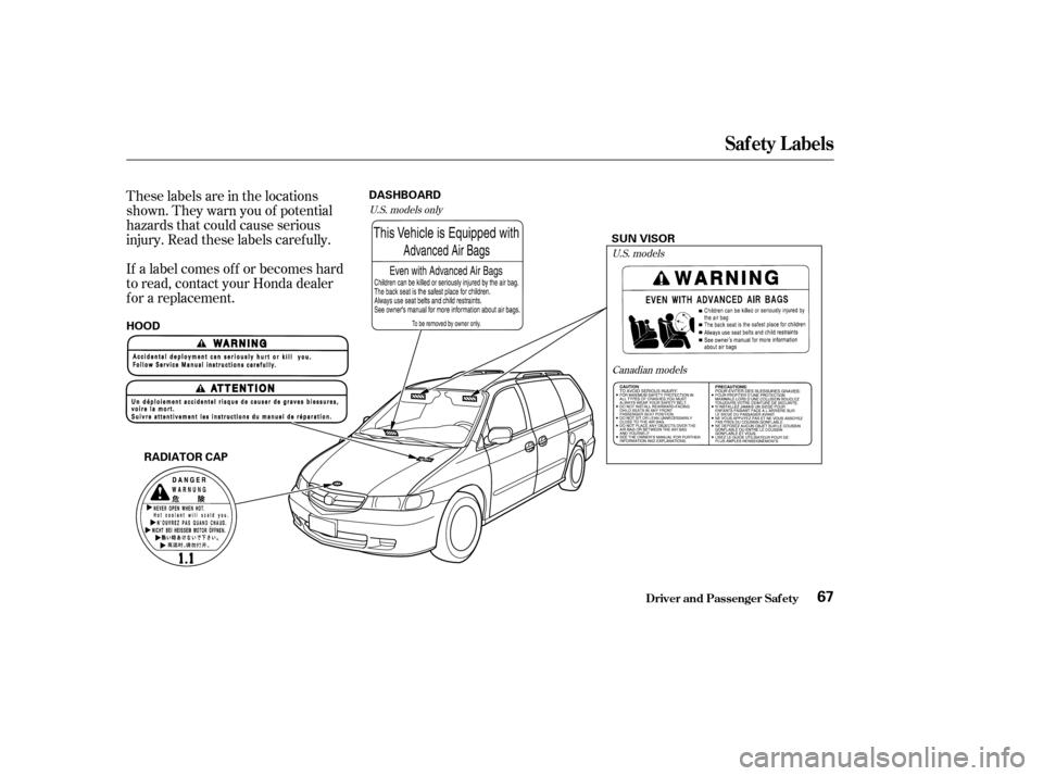 HONDA ODYSSEY 2003 RB1-RB2 / 3.G Owners Manual These labels are in the locations
shown. They warn you of potential
hazards that could cause serious
injury. Read these labels caref ully.
If a label comes of f or becomes hard
to read, contact your H