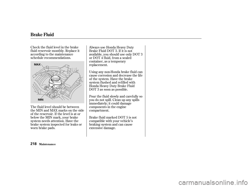 HONDA ODYSSEY 2004 RB1-RB2 / 3.G Service Manual Check the f luid level in the brake
f luid reservoir monthly. Replace it
according to the maintenance
schedule recommendations.
The f luid level should be between
theMINandMAXmarksontheside
of the res