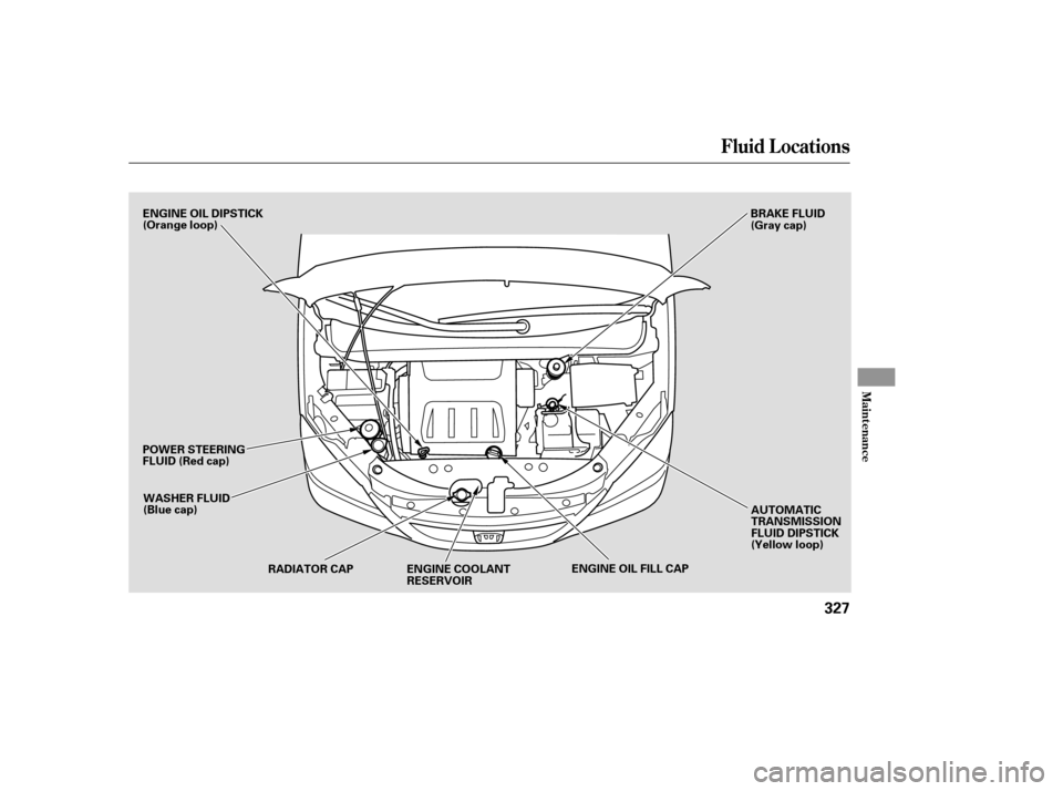 HONDA ODYSSEY 2005 RB1-RB2 / 3.G Owners Manual Fluid Locations
Maint enance
327
ENGINE OIL DIPSTICK
(Orange loop)WASHER FLUID
(Blue cap)
POWER STEERING
FLUID (Red cap)
RADIATOR CAP ENGINE OIL FILL CAPAUTOMATIC
TRANSMISSION
FLUID DIPSTICK
(Yellow l