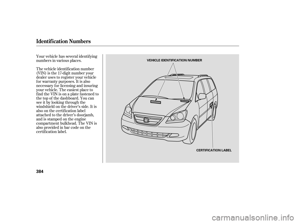 HONDA ODYSSEY 2005 RB1-RB2 / 3.G Owners Manual Your vehicle has several identif ying
numbers in various places.
The vehicle identif ication number
(VIN) is the 17-digit number your
dealer uses to register your vehicle
f or warranty purposes. It is