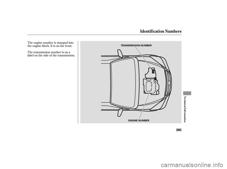 HONDA ODYSSEY 2005 RB1-RB2 / 3.G Owners Manual The engine number is stamped into
the engine block. It is on the f ront.
The transmission number is on a
label on the side of the transmission.
Identif ication Numbers
T echnical Inf ormation
385
TRAN