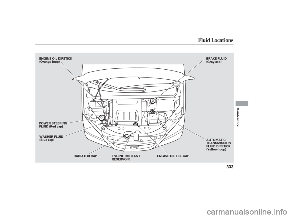 HONDA ODYSSEY 2006 RB1-RB2 / 3.G Owners Manual Fluid Locations
Maint enance
333
ENGINE OIL DIPSTICK
(Orange loop)WASHER FLUID
(Blue cap)
POWER STEERING
FLUID (Red cap)
RADIATOR CAP ENGINE OIL FILL CAPAUTOMATIC
TRANSMISSION
FLUID DIPSTICK
(Yellow l