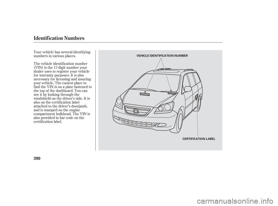 HONDA ODYSSEY 2006 RB1-RB2 / 3.G Owners Manual Your vehicle has several identif ying
numbers in various places.
The vehicle identif ication number
(VIN) is the 17-digit number your
dealer uses to register your vehicle
f or warranty purposes. It is