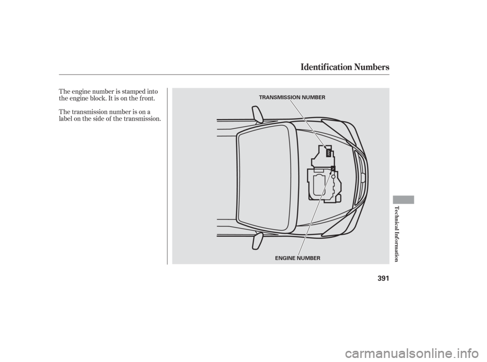 HONDA ODYSSEY 2006 RB1-RB2 / 3.G Manual PDF The engine number is stamped into
the engine block. It is on the f ront.
The transmission number is on a
label on the side of the transmission.
Identif ication Numbers
Technical Inf ormation
391
TRANS