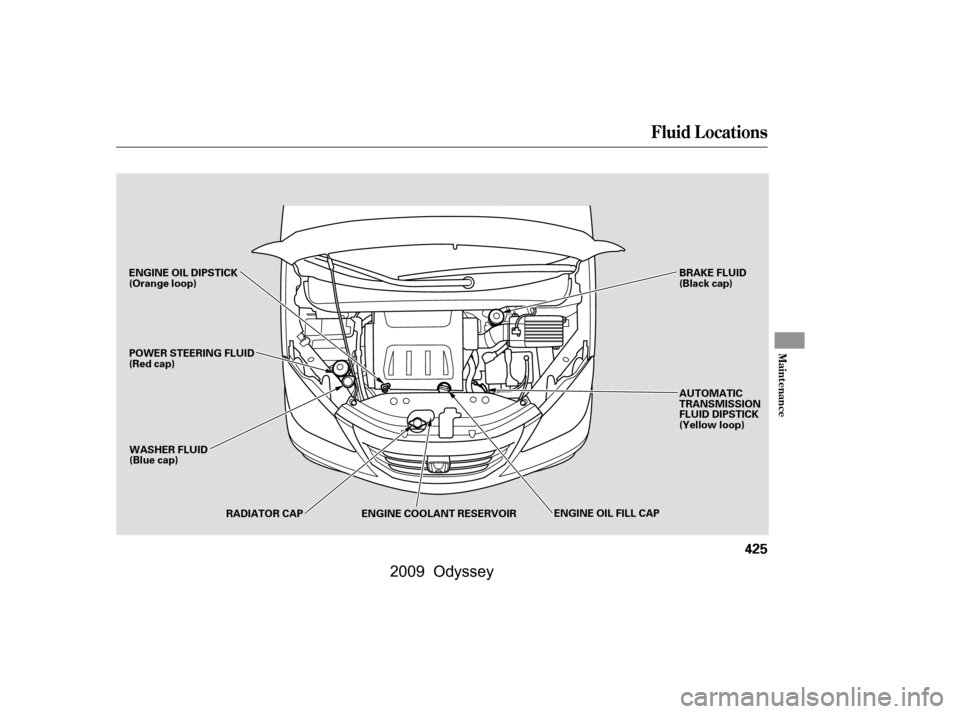 HONDA ODYSSEY 2009 RB3-RB4 / 4.G Owners Manual Fluid Locations
Maint enance
425
ENGINE OIL DIPSTICK 
(Orange loop)WASHER FLUID
(Blue cap) BRAKE FLUID
(Black cap)
ENGINE COOLANT RESERVOIR AUTOMATIC
TRANSMISSION
FLUID DIPSTICK
(Yellow loop)
POWER ST