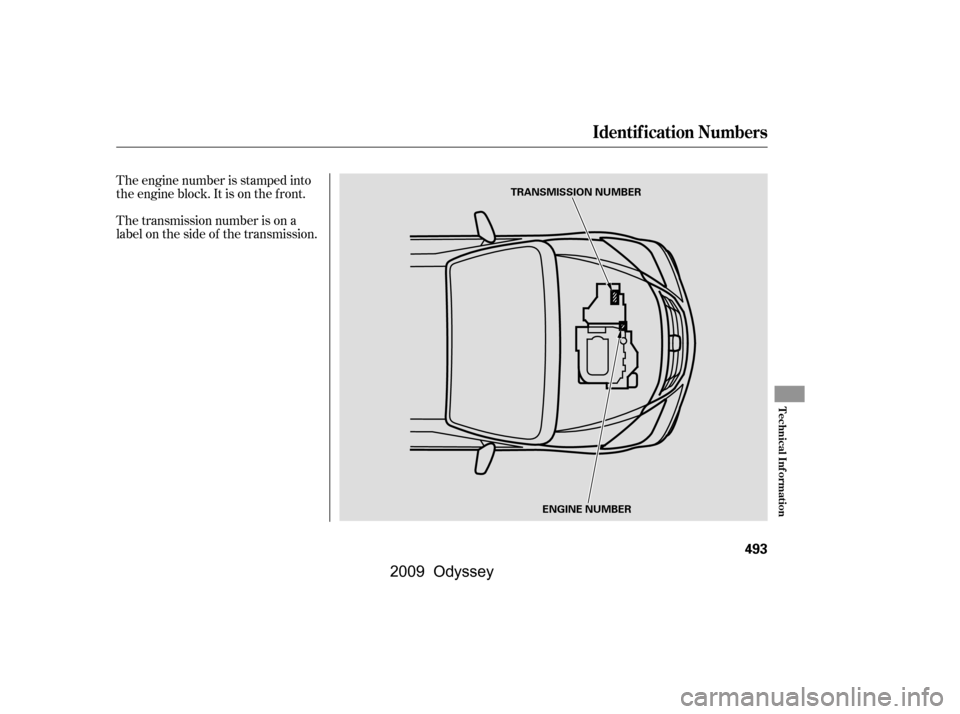HONDA ODYSSEY 2009 RB3-RB4 / 4.G Owners Manual The engine number is stamped into 
the engine block. It is on the f ront. 
The transmission number is on a 
label on the side of the transmission.
Identif ication Numbers
Technical Inf ormation
493
TR