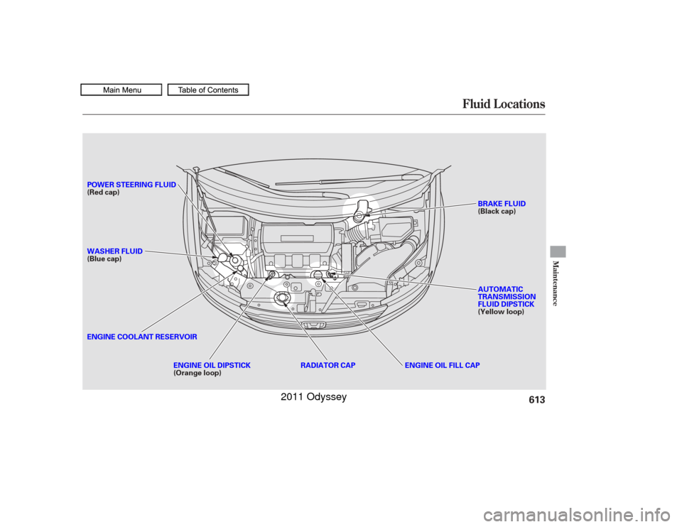 HONDA ODYSSEY 2011 RB3-RB4 / 4.G Owners Manual Fluid Locations
Maint enance
613
ENGINE OIL DIPSTICK
(Orange loop)RADIATOR CAP
POWER STEERING FLUID
(Red cap)
WASHER FLUID
(Blue cap)
ENGINE COOLANT RESERVOIR
BRAKE FLUID
(Black cap)
AUTOMATIC
TRANSMI