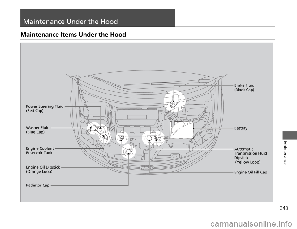 HONDA ODYSSEY 2012 RB3-RB4 / 4.G Owners Manual 343
Maintenance
Maintenance Under the HoodMaintenance Items Under the Hood
Engine Oil Dipstick 
(Orange Loop) Washer Fluid 
(Blue Cap)
Engine Coolant 
Reservoir Tank
Radiator CapBrake Fluid 
(Black Ca