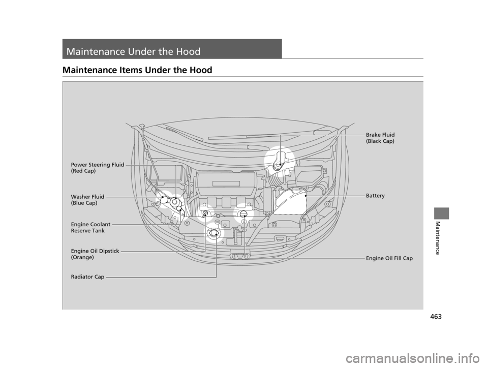 HONDA ODYSSEY 2017 RC1-RC2 / 5.G Owners Manual 463
Maintenance
Maintenance Under the Hood
Maintenance Items Under the Hood
Engine Oil Dipstick 
(Orange) Washer Fluid 
(Blue Cap)
Engine Coolant 
Reserve Tank
Radiator CapBrake Fluid 
(Black Cap)
Eng