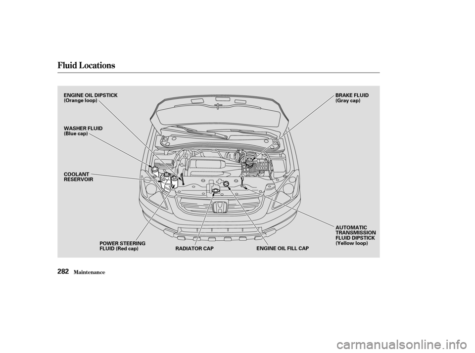 HONDA PILOT 2003 1.G Owners Manual Fluid Locations
Maint enance282
ENGINE OIL DIPSTICK
(Orange loop)
WASHER FLUID
(Blue cap)COOLANT
RESERVOIR
POWER STEERING
FLUID (Red cap) RADIATOR CAP ENGINE OIL FILL CAPAUTOMATIC
TRANSMISSION
FLUID D