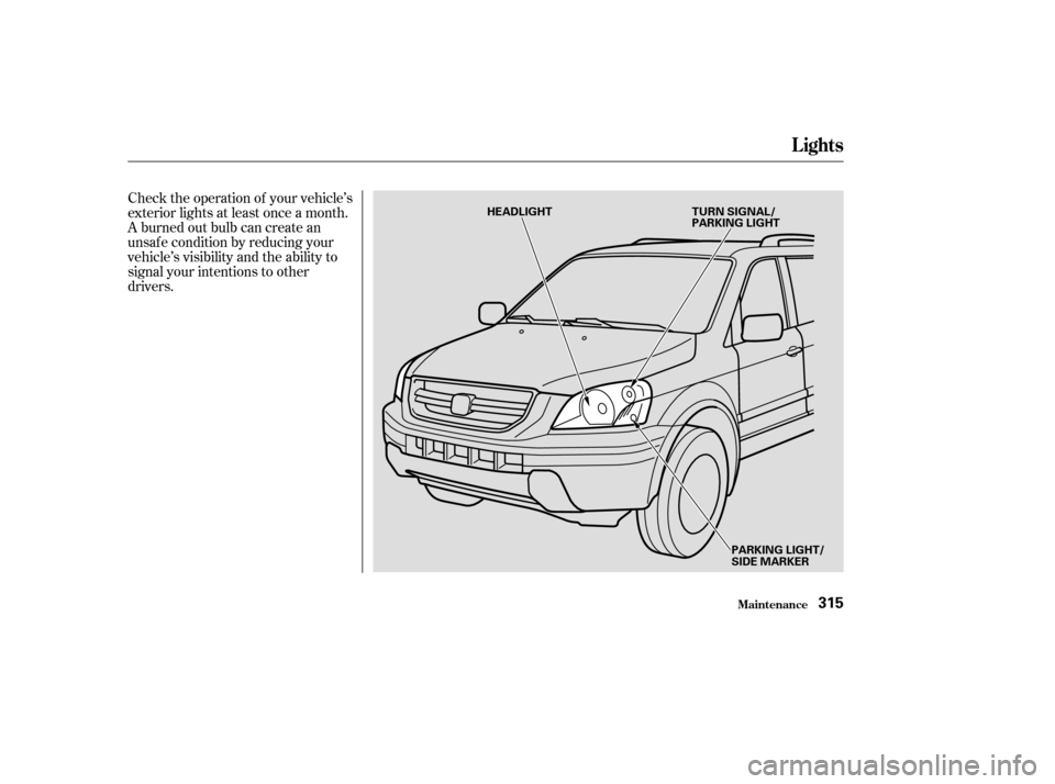 HONDA PILOT 2003 1.G Owners Manual Check the operation of your vehicle’s
exterior lights at least once a month.
A burned out bulb can create an
unsaf e condition by reducing your
vehicle’s visibility and the ability to
signal your 