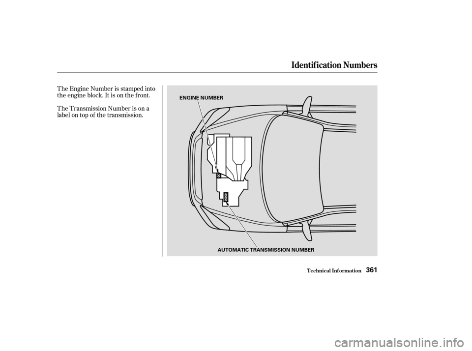 HONDA PILOT 2003 1.G Owners Manual The Transmission Number is on a
label on top of the transmission. The Engine Number is stamped into
the engine block. It is on the f ront.
Identif ication Numbers
T echnical Inf ormation361
ENGINE NUM