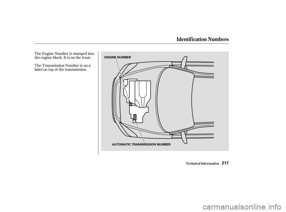 HONDA PILOT 2004 1.G Owners Manual The Engine Number is stamped into
the engine block. It is on the f ront.
The Transmission Number is on a
label on top of the transmission.
Identif ication Numbers
T echnical Inf ormation217
ENGINE NUM
