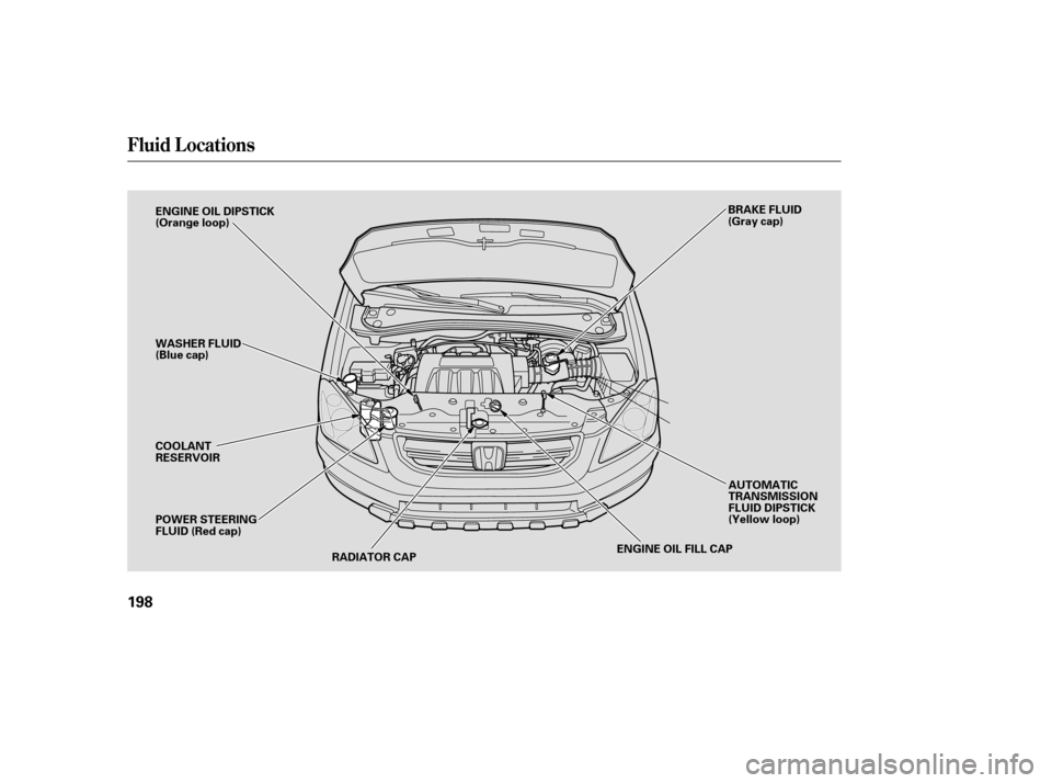 HONDA PILOT 2005 1.G Service Manual Fluid Locations
198
RADIATOR CAP
ENGINE OIL DIPSTICK
(Orange loop)
BRAKE FLUID
(Gray cap)
WASHER FLUID
(Blue cap)
AUTOMATIC
TRANSMISSION
FLUID DIPSTICK
(Yellow loop)
POWER STEERING
FLUID (Red cap) COO