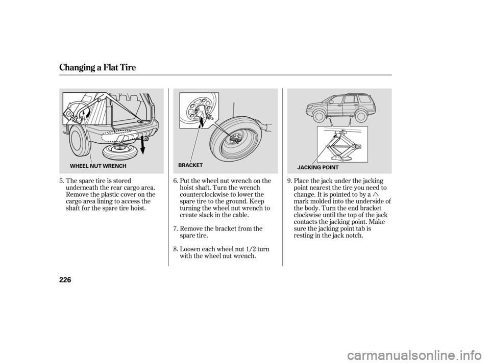 HONDA PILOT 2005 1.G User Guide Ú
The spare tire is stored
underneath the rear cargo area.
Remove the plastic cover on the
cargo area lining to access the
shaft for the spare tire hoist. Put the wheel nut wrench on the
hoist shaf 