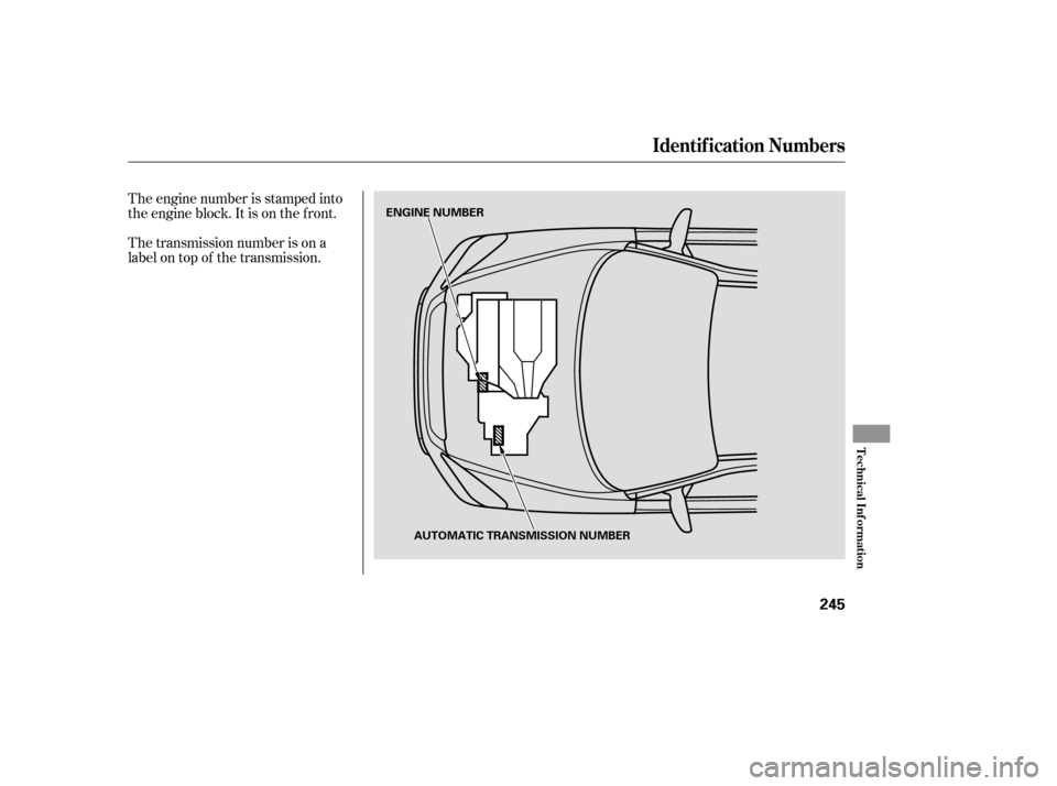 HONDA PILOT 2005 1.G Owners Manual The transmission number is on a
label on top of the transmission. The engine number is stamped into
the engine block. It is on the f ront.
Identif ication Numbers
T echnical Inf ormation
245
ENGINE NU