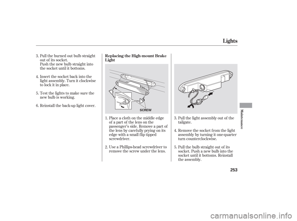 HONDA PILOT 2006 1.G Owners Manual Use a Phillips-head screwdriver to
remove the screw under the lens. Place a cloth on the middle edge
of a part of the lens on the
passenger’s side. Remove a part of
the lens by caref ully prying on HONDA PILOT 2006 1.G Owners Manual Use a Phillips-head screwdriver to
remove the screw under the lens. Place a cloth on the middle edge
of a part of the lens on the
passenger’s side. Remove a part of
the lens by caref ully prying on