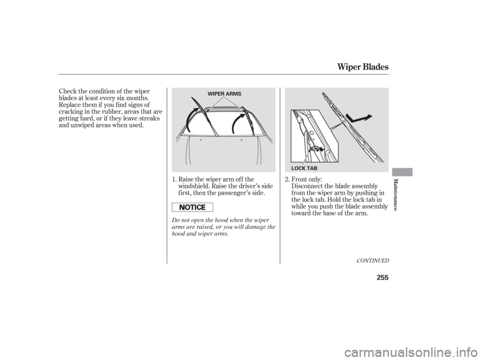 HONDA PILOT 2006 1.G Owners Manual Raise the wiper arm of f the
windshield. Raise the driver’s side
first, then the passenger’s side.
Check the condition of the wiper
blades at least every six months.
Replace them if you f ind sign HONDA PILOT 2006 1.G Owners Manual Raise the wiper arm of f the
windshield. Raise the driver’s side
first, then the passenger’s side.
Check the condition of the wiper
blades at least every six months.
Replace them if you f ind sign