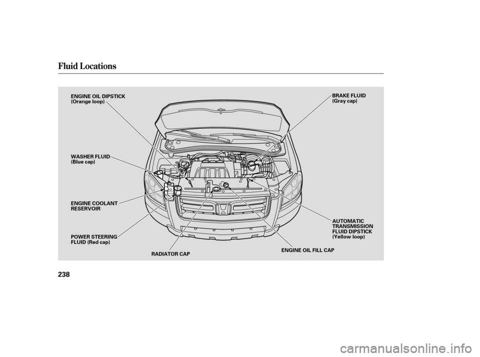 HONDA PILOT 2007 1.G Owners Manual Fluid Locations
238
RADIATOR CAP
ENGINE OIL DIPSTICK
(Orange loop)
BRAKE FLUID
(Gray cap)
WASHER FLUID
(Blue cap)
AUTOMATIC
TRANSMISSION
FLUID DIPSTICK
(Yellow loop)
POWER STEERING
FLUID (Red cap)
ENG HONDA PILOT 2007 1.G Owners Manual Fluid Locations
238
RADIATOR CAP
ENGINE OIL DIPSTICK
(Orange loop)
BRAKE FLUID
(Gray cap)
WASHER FLUID
(Blue cap)
AUTOMATIC
TRANSMISSION
FLUID DIPSTICK
(Yellow loop)
POWER STEERING
FLUID (Red cap)
ENG