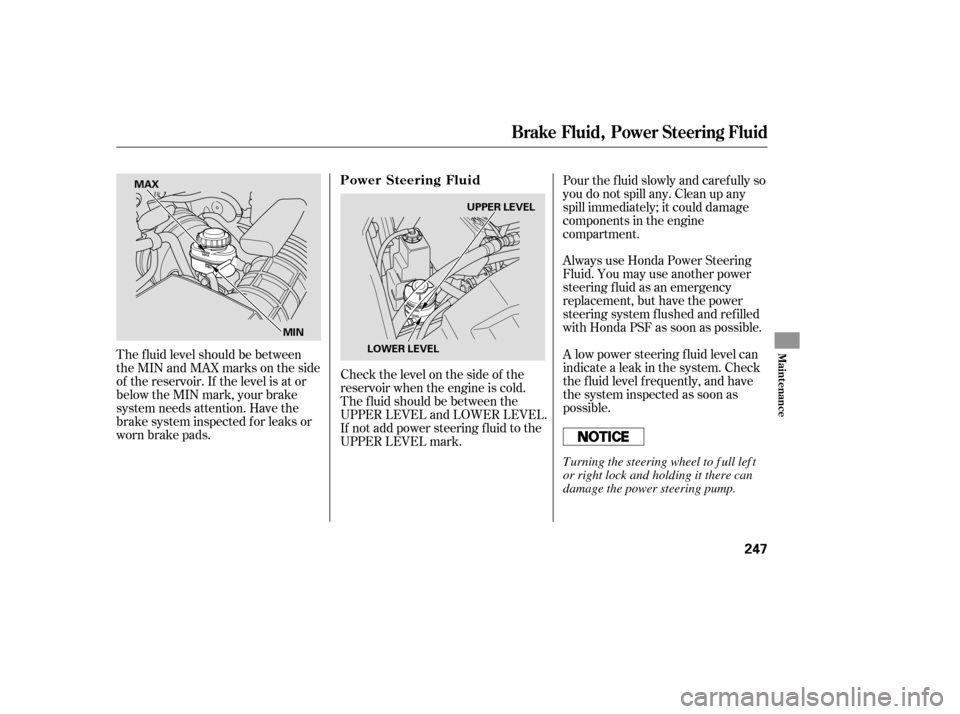HONDA PILOT 2007 1.G Owners Manual Check the level on the side of the
reservoir when the engine is cold.
The f luid should be between the
UPPER LEVEL and LOWER LEVEL.
If not add power steering f luid to the
UPPER LEVEL mark.A
low power HONDA PILOT 2007 1.G Owners Manual Check the level on the side of the
reservoir when the engine is cold.
The f luid should be between the
UPPER LEVEL and LOWER LEVEL.
If not add power steering f luid to the
UPPER LEVEL mark.A
low power