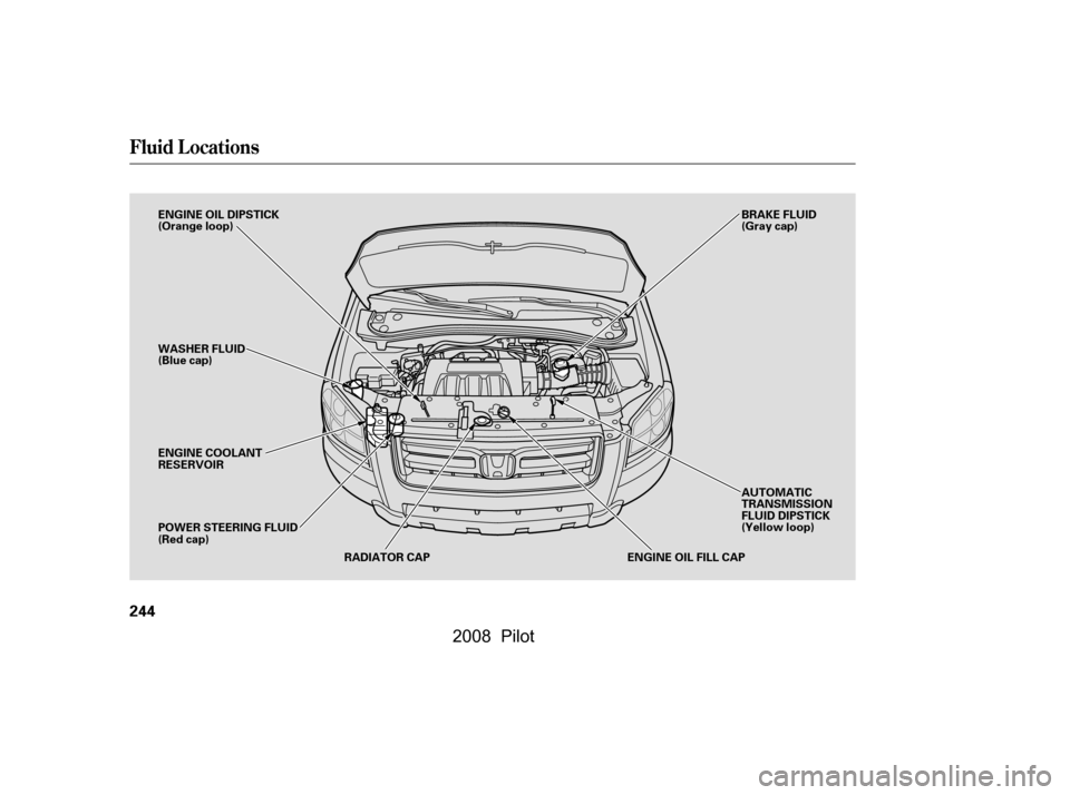 HONDA PILOT 2008 1.G Owners Manual Fluid Locations
244
ENGINE OIL DIPSTICK 
(Orange loop) 
WASHER FLUID 
(Blue cap)ENGINE OIL FILL CAP
ENGINE COOLANT
RESERVOIR 
POWER STEERING FLUID 
(Red cap) BRAKE FLUID
(Gray cap) 
AUTOMATIC 
TRANSMI