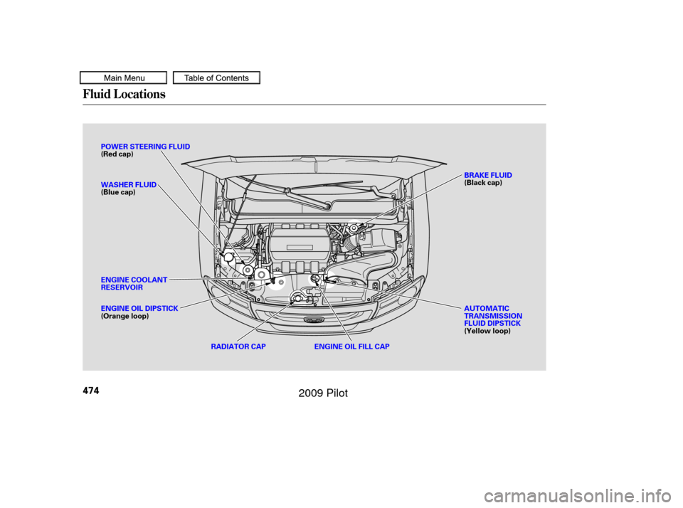 HONDA PILOT 2009 2.G Owners Manual Fluid Locations
474
WASHER FLUID
(Blue cap)RADIATOR CAP
ENGINE OIL DIPSTICK
(Orange loop)
AUTOMATIC
TRANSMISSION
FLUID DIPSTICK
(Yellow loop)
POWER STEERING FLUID
(Red cap)
ENGINE COOLANT
RESERVOIR
EN