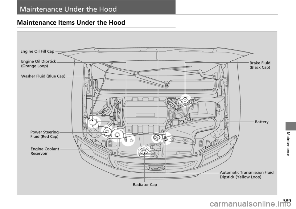 HONDA PILOT 2014 2.G Owners Manual 389
Maintenance
Maintenance Under the Hood
Maintenance Items Under the Hood
Brake Fluid 
(Black Cap)
Engine Coolant 
Reservoir Radiator Cap
Washer Fluid (Blue Cap)
Engine Oil Dipstick 
(Orange Loop)
E