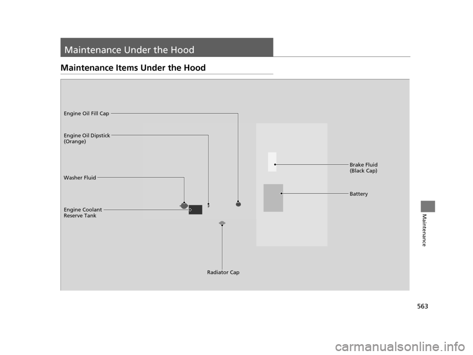 HONDA PILOT 2016 3.G Owners Manual 563
Maintenance
Maintenance Under the Hood
Maintenance Items Under the Hood
Brake Fluid 
(Black Cap)
Washer Fluid
Radiator Cap
Engine Coolant 
Reserve Tank Engine Oil Dipstick 
(Orange) Engine Oil Fil