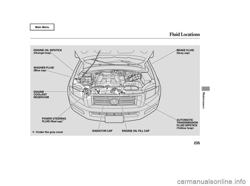 HONDA RIDGELINE 2006 1.G Owners Manual Î
Î
Fluid Locations
Maint enance
235
ENGINE OIL DIPSTICK
(Orange loop)
WASHER FLUID
(Blue cap)RADIATOR CAP AUTOMATIC
TRANSMISSION
FLUID DIPSTICK
(Yellow loop)
BRAKE FLUID
(Gray cap)
ENGINE
COOLANT