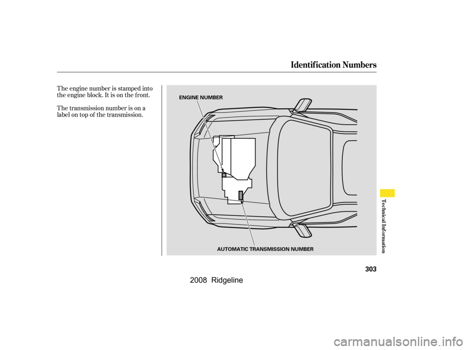 HONDA RIDGELINE 2008 1.G Owners Manual The engine number is stamped into 
the engine block. It is on the f ront. 
The transmission number is on a 
label on top of the transmission.
Identif ication Numbers
Technical Inf ormation
303
ENGINE 