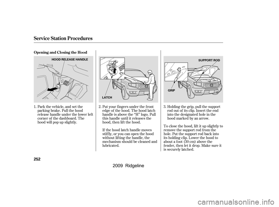 HONDA RIDGELINE 2009 1.G Owners Manual Put your f ingers under the f ront 
edge of the hood. The hood latch
handle is above the ‘‘H’’ logo. Pull
this handle until it releases the
hood, then lif t the hood.To close the hood, lif t i