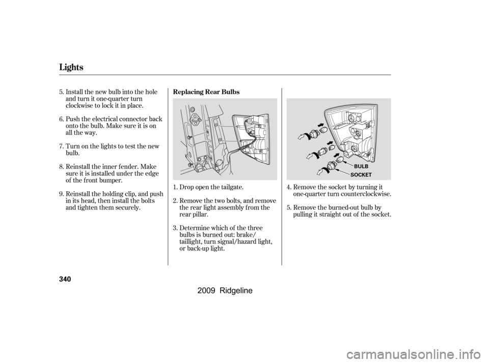 HONDA RIDGELINE 2009 1.G Owners Manual Remove the socket by turning it 
one-quarter turn counterclockwise. 
Remove the burned-out bulb by 
pulling it straight out of the socket.
Drop open the tailgate. 
Remove the two bolts, and remove 
th